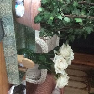 Meet your Posher, Jacqueline